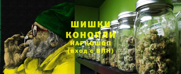 МДПВ Горнозаводск