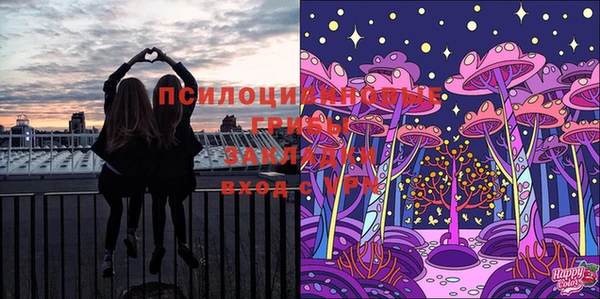 МДПВ Горнозаводск